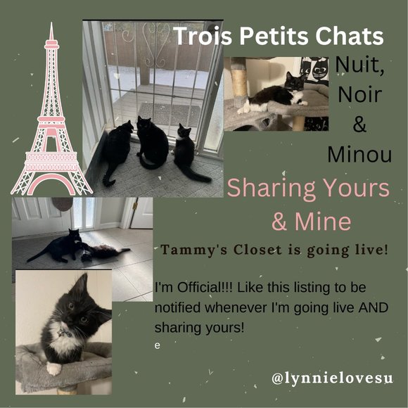 Tray's open, Pop-Up Share Show. Clothing & Bags - Picture 1 of 5